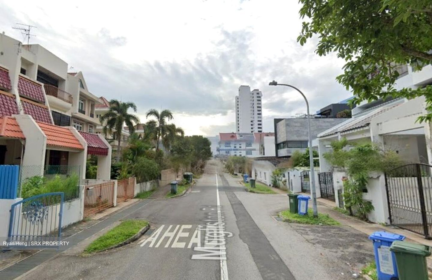 Haig Road (D15), Terrace #461166571